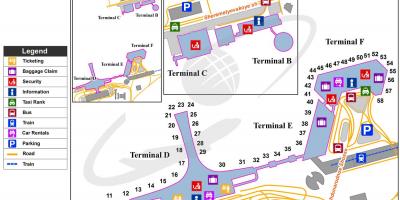 SVO-terminal kart
